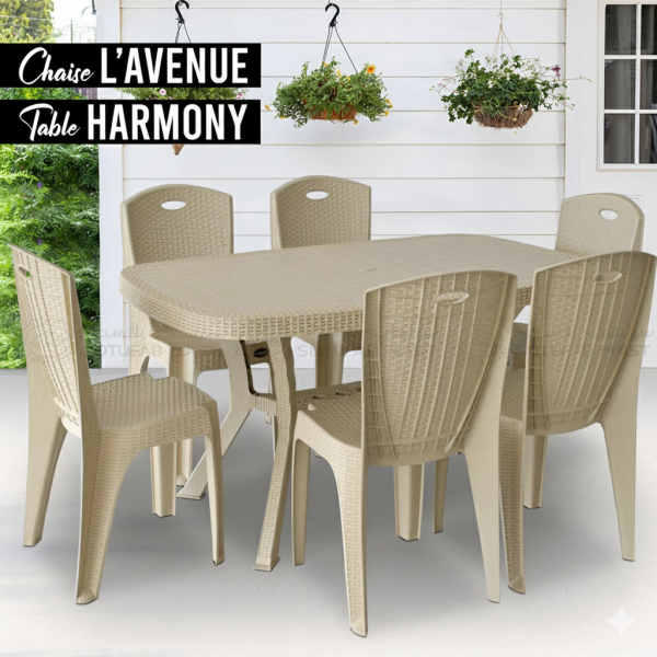 Pack Table Harmony + 6 Fauteuil l'avenue Grège