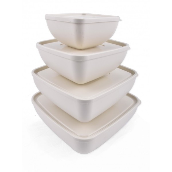 Lot de 4 Keep'n Fresh Carrée